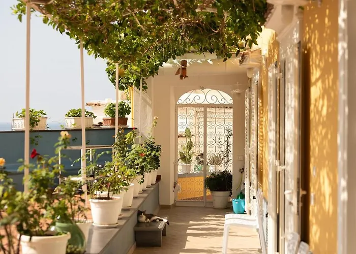 Esclusiva Con Vista Panoramica Su *